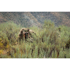 500-15-00725-9004-00