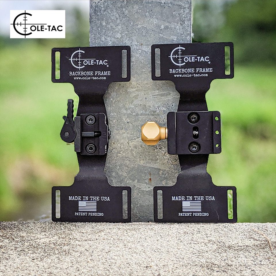 Backbone Frame Picatinny