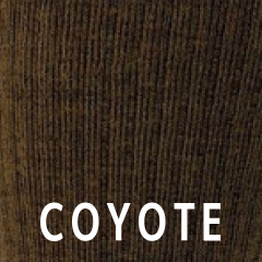Coyote