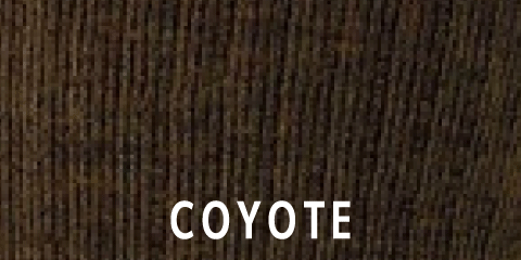 Coyote