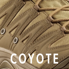Coyote Brown